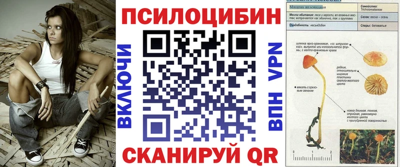 цена наркотик  Шахунья  Псилоцибиновые грибы MAGIC MUSHROOMS 