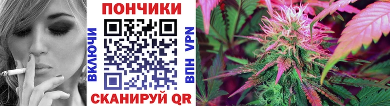 купить наркоту  Шахунья  KRAKEN tor  Канабис THC 21% 